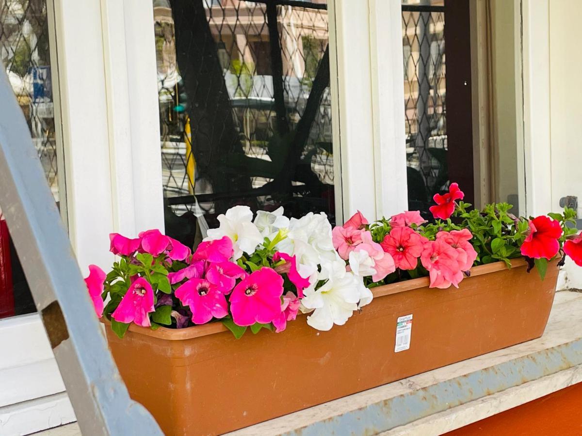 לינה וארוחת בוקר סאסארי Il Giardino Di Iole Via Giovanni Amendola N36 מראה חיצוני תמונה