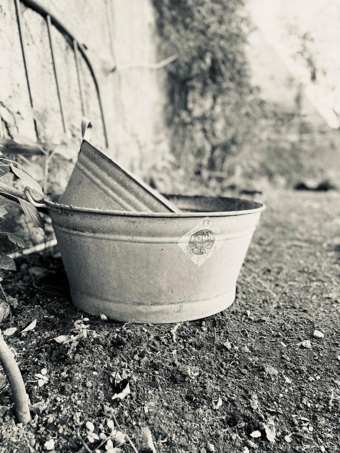 לינה וארוחת בוקר סאסארי Il Giardino Di Iole Via Giovanni Amendola N36 מראה חיצוני תמונה