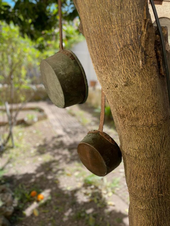 לינה וארוחת בוקר סאסארי Il Giardino Di Iole Via Giovanni Amendola N36 מראה חיצוני תמונה