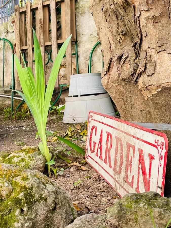 לינה וארוחת בוקר סאסארי Il Giardino Di Iole Via Giovanni Amendola N36 מראה חיצוני תמונה