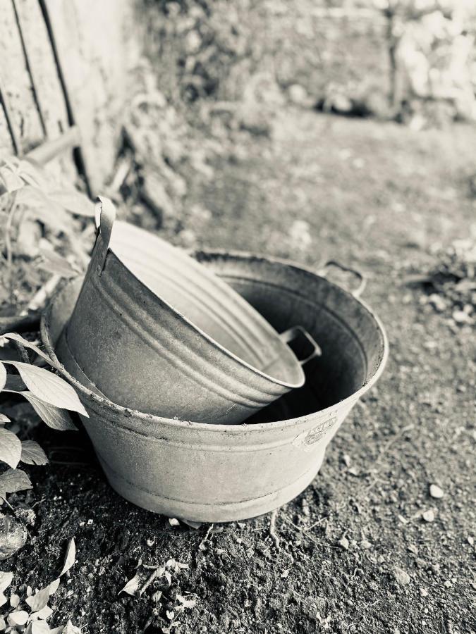 לינה וארוחת בוקר סאסארי Il Giardino Di Iole Via Giovanni Amendola N36 מראה חיצוני תמונה