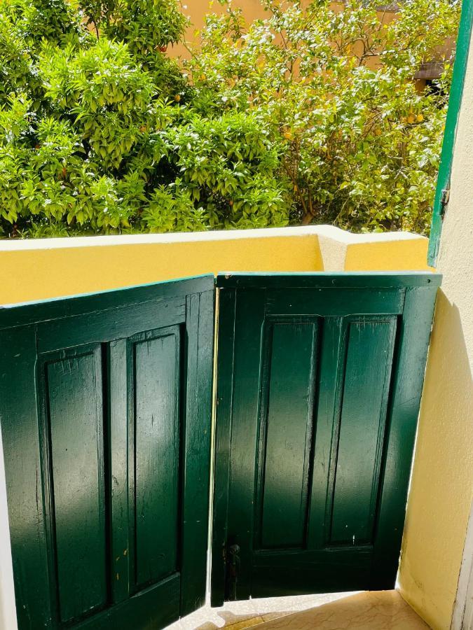 לינה וארוחת בוקר סאסארי Il Giardino Di Iole Via Giovanni Amendola N36 מראה חיצוני תמונה
